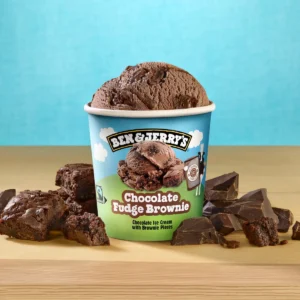 Choco Fudge Brownie | Ben&Jerry ́s
